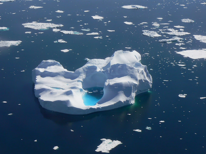Iceberg East Greenland