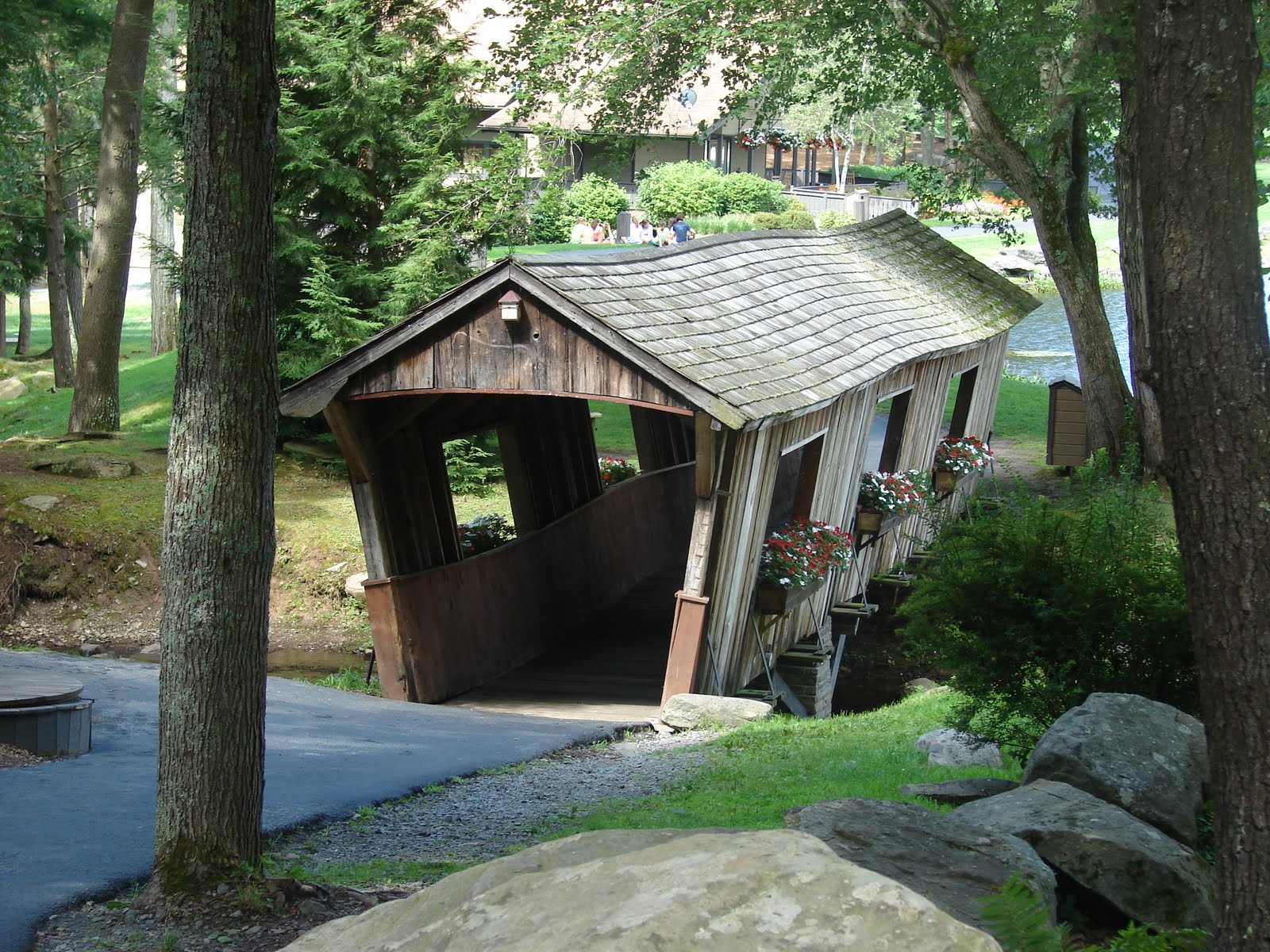 Quilt Vine: Wyldlife Camp