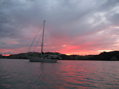 Orca III - Sunset in Coromandel Harbour