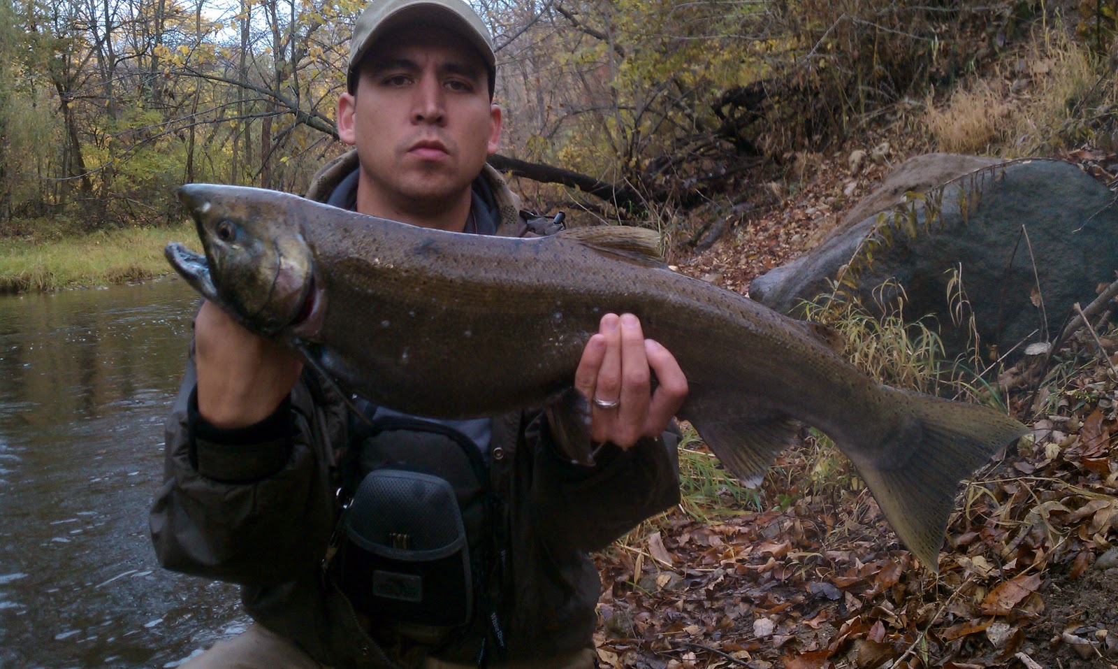 Illinois Wisconsin Fishing fly fishing salmon (southeast, wi)