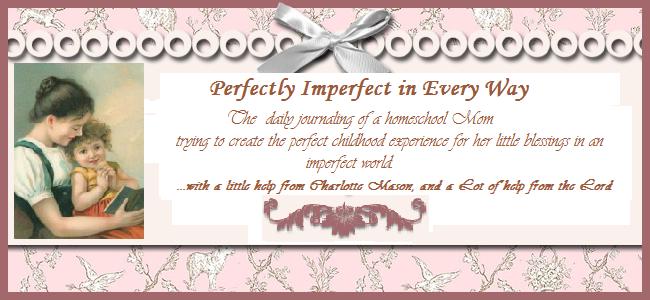 Perfectly Imperfect In  Every Way