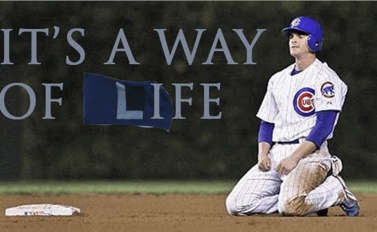 Best of Cubs photos suck pics Porn Clip No dont do it im a virgin original video