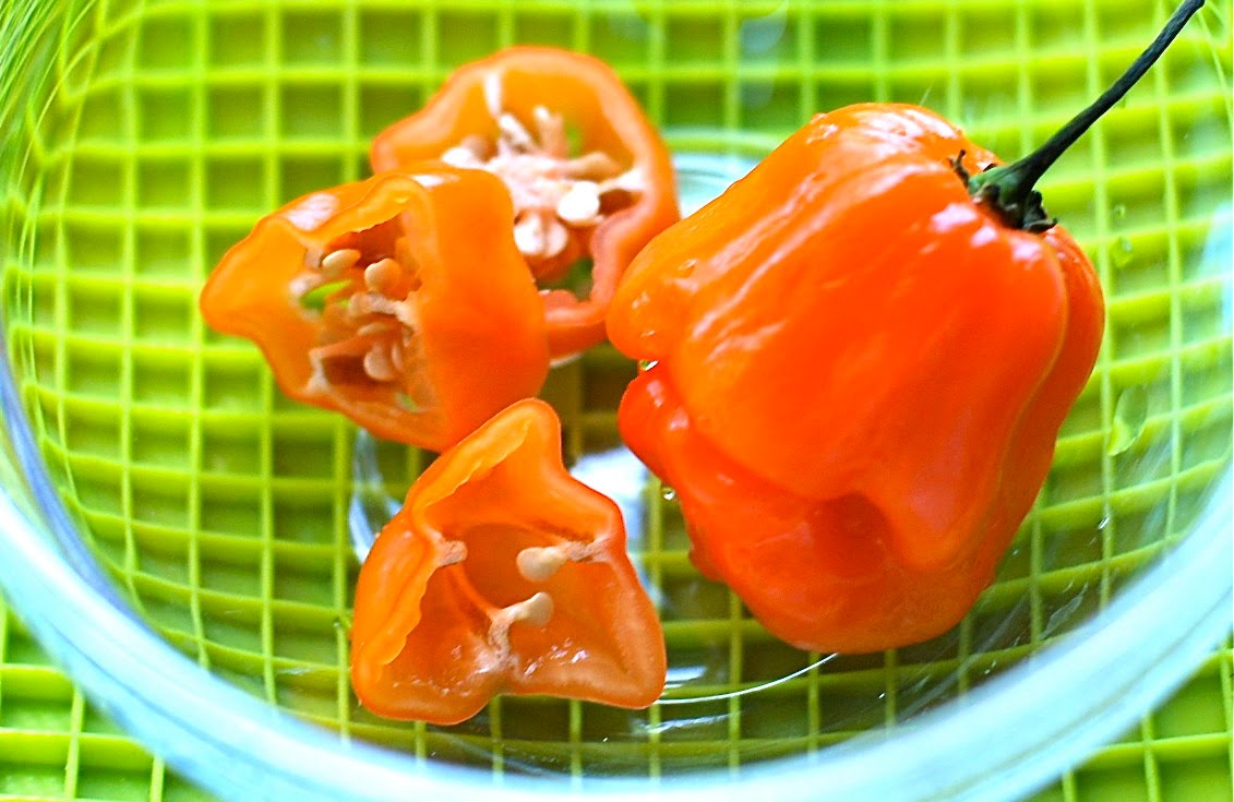 The Enchanted Cook Creamy Artichoke Habanero Dip