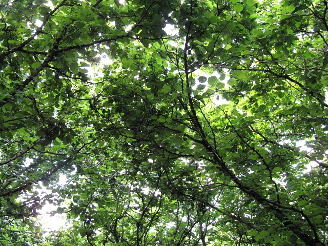 [IMG_0856.JPG]