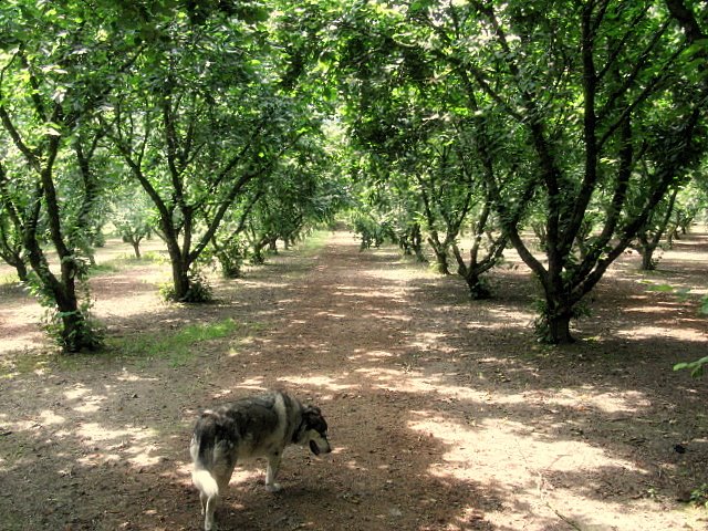 [IMG_0858.JPG]