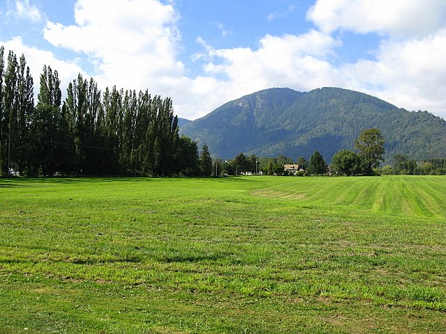 [IMG_0443.JPG]
