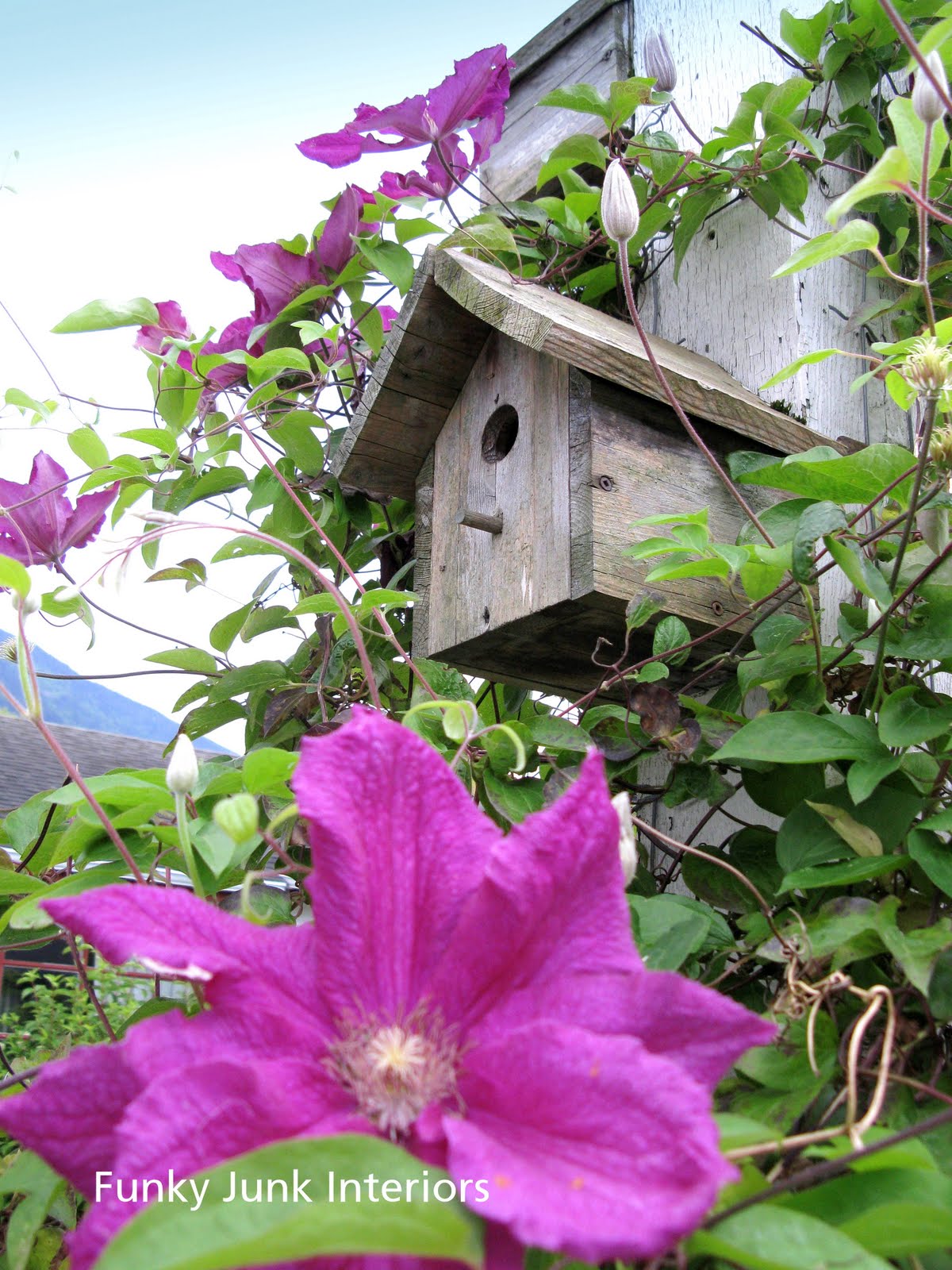 Novelty Hut Wooden Bird House Garden Retro Hanging Nesting Box Wild Birds BL3 