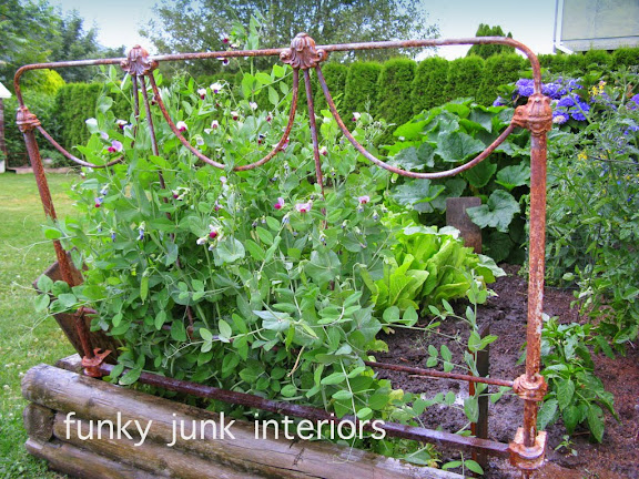 Learn how I use rusty vintage headboards for a garden trellis, plus loads of other garden growing tips! Click to learn more. #gardening #vegetables #flowers