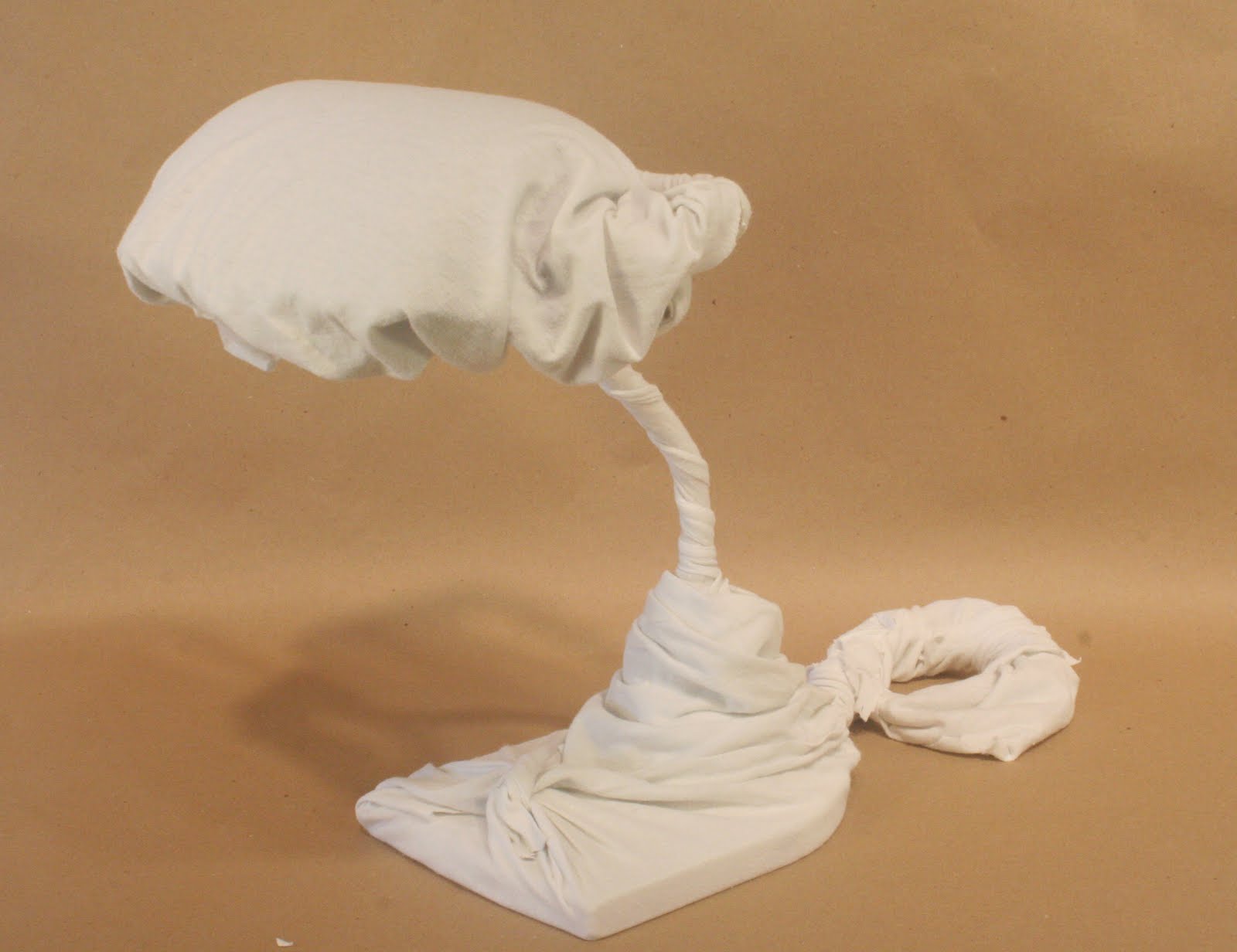 Introduction to the Studio wrapped object