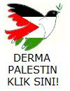 Aman Palestina