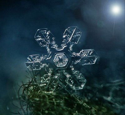 Artistic Snowflake Shapes 11