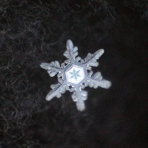 Artistic Snowflake Shapes 10