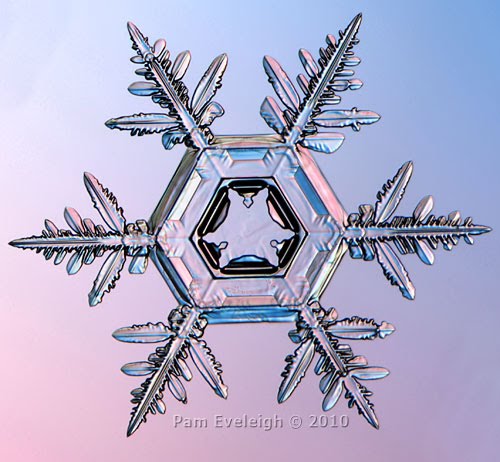 Artistic Snowflake Shapes 5