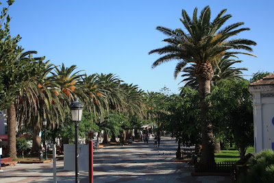 Palms in Tarifa
