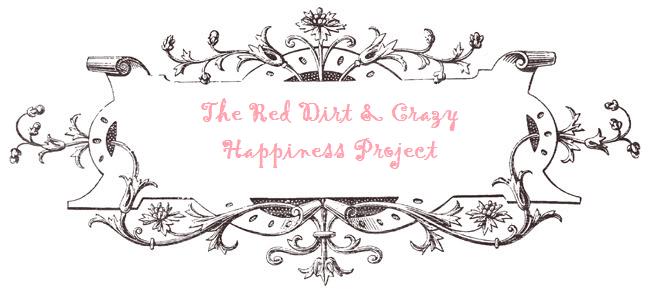 The Red Dirt & Crazy Happiness Project