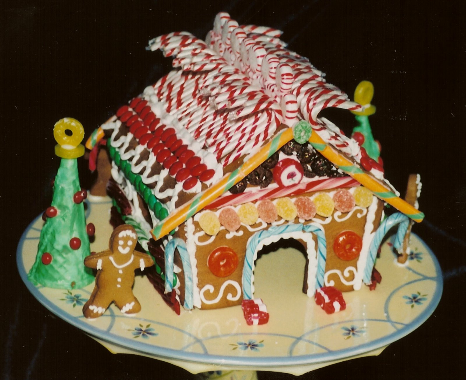 [gingerbread+house+1.jpg]