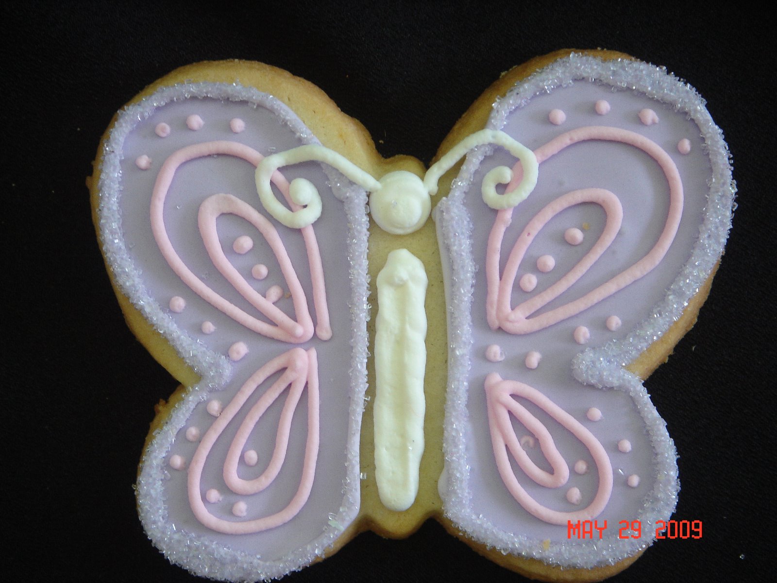 [cookies+butterfly.JPG]