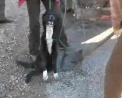 [Jonah+9+shovel.jpg]