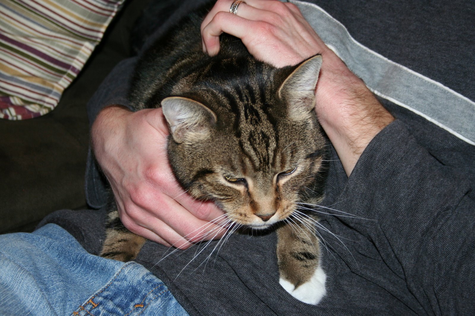 [IMG_6380.JPG]