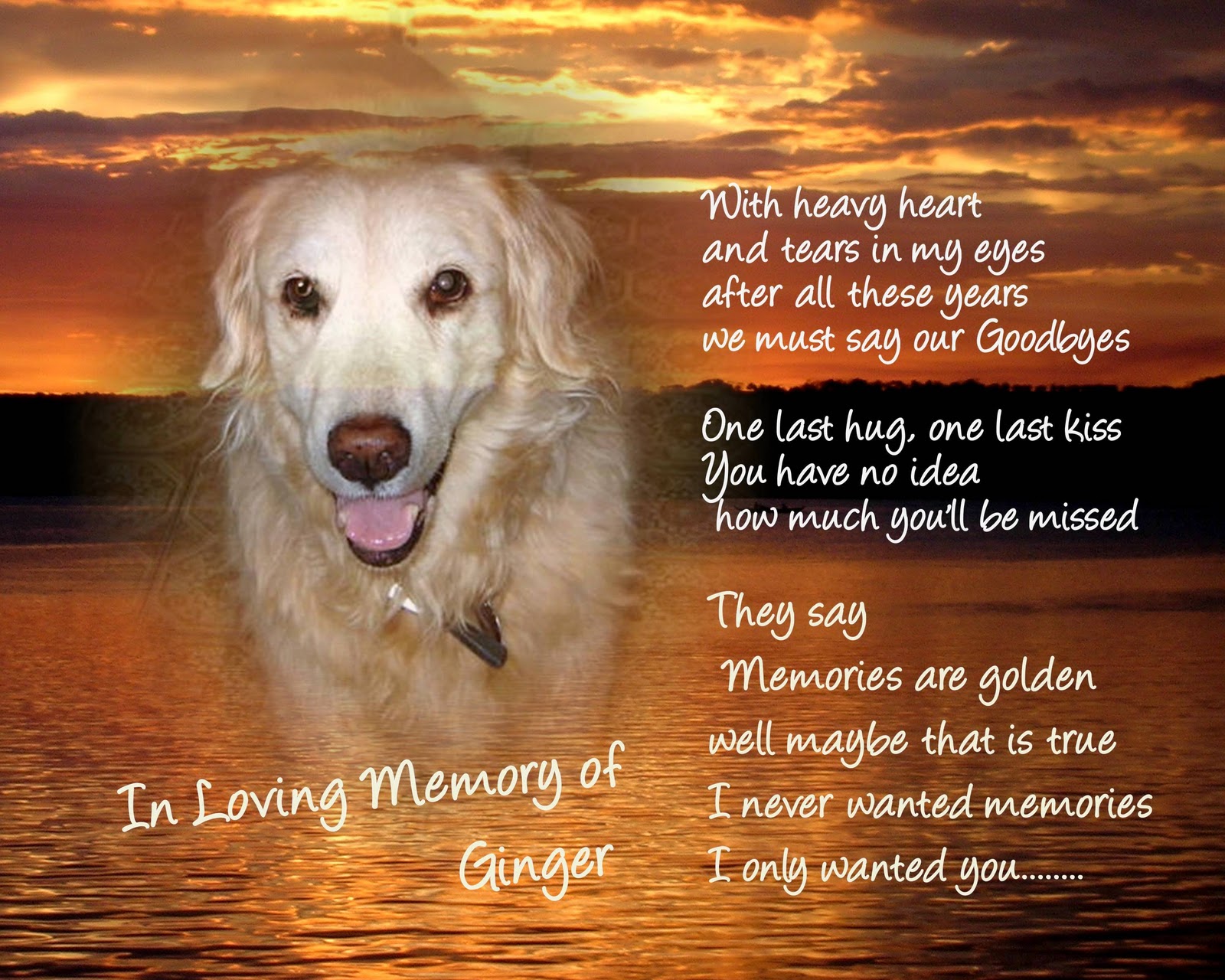Pet Memorial Sayings Quotes QuotesGram