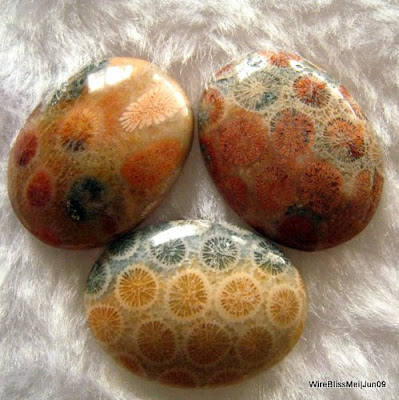Cab coral agate, fosilized coral