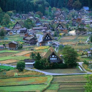 gifu village