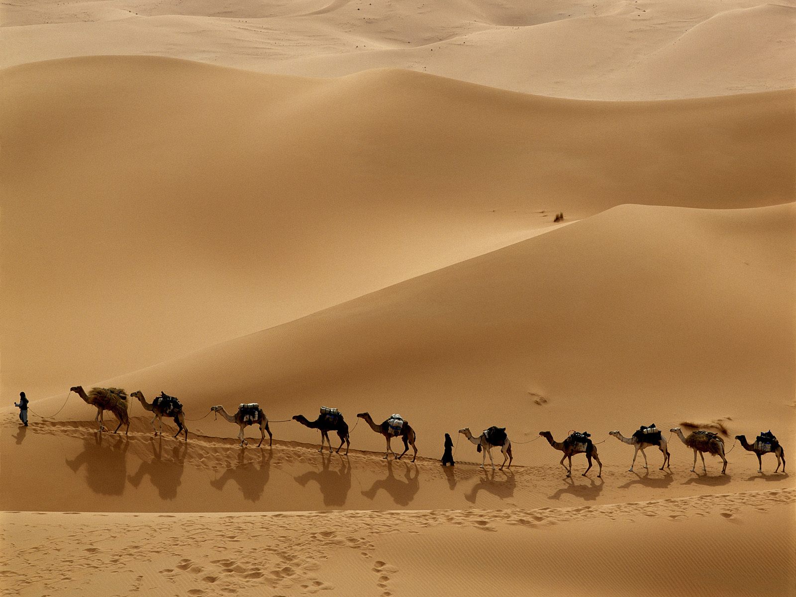 [Camel+Caravan,+Libya.jpg]