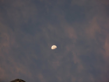 Day Moon