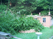 Tree Down