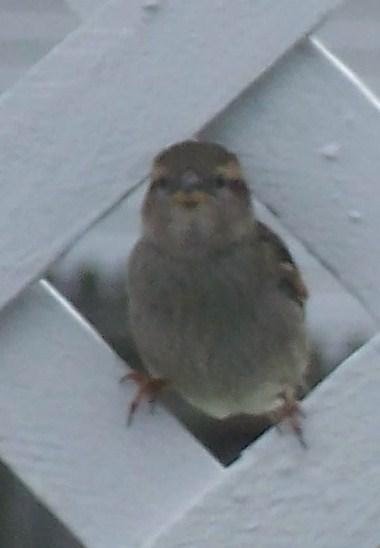Is he smiling?