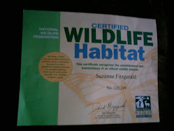 Get your application on NWF site!