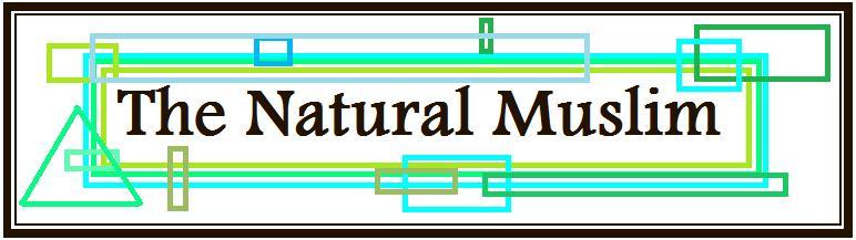 TheNaturalMuslim