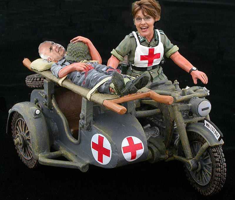 [palin-rescue.jpg]