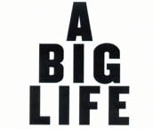 [a_big_life_lg[1]_edited.jpg]