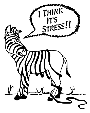 [Stress-ZebraStripes[1].gif]
