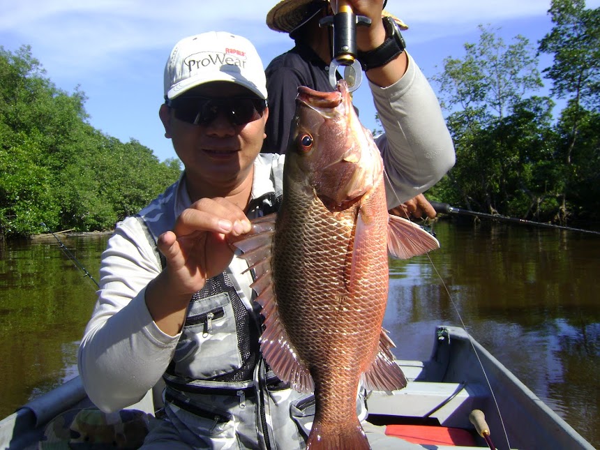 RedBass Bongawan