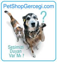 PET SHOP GERÇEĞİ