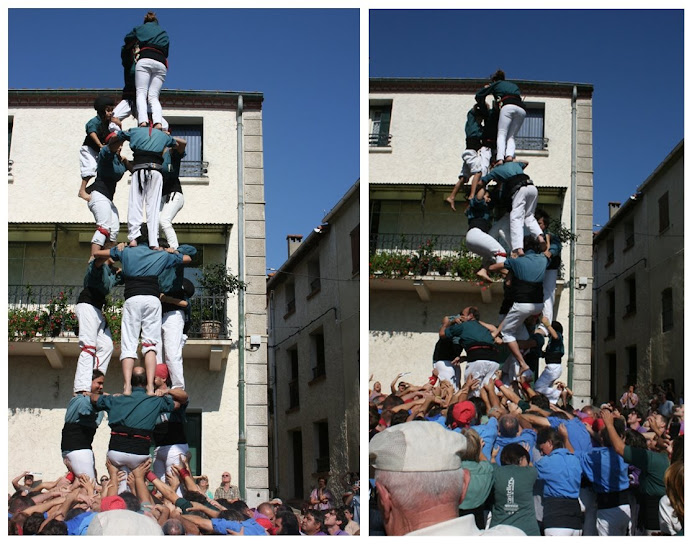 Llenya del 3 de 7 a França