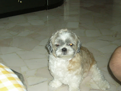 Thanks for the Memories