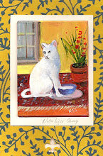 White Kitty ,oil original (c)
