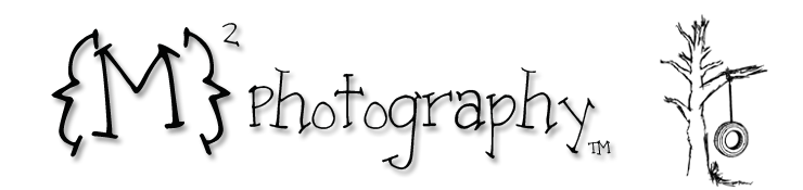 Mandi Morgan Photography info