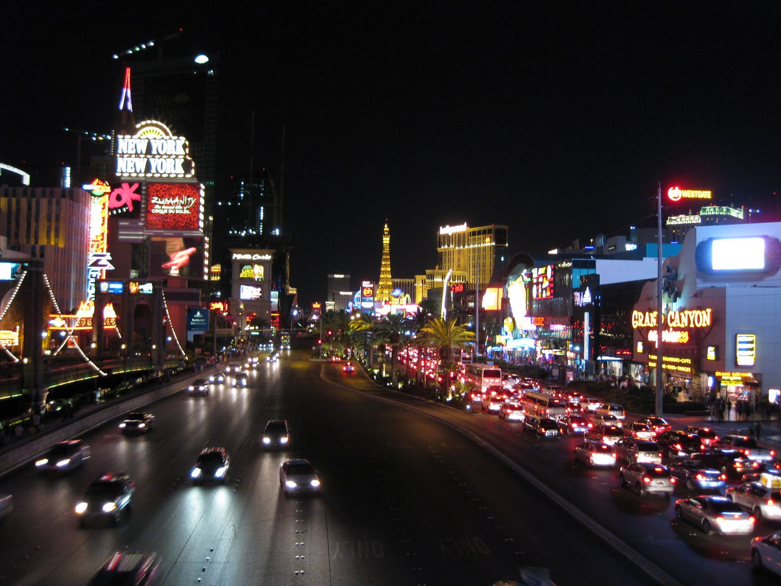[IMG_0585.JPG]