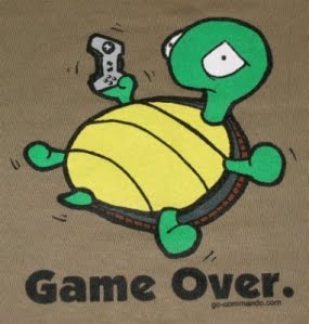 [turtle.jpg]