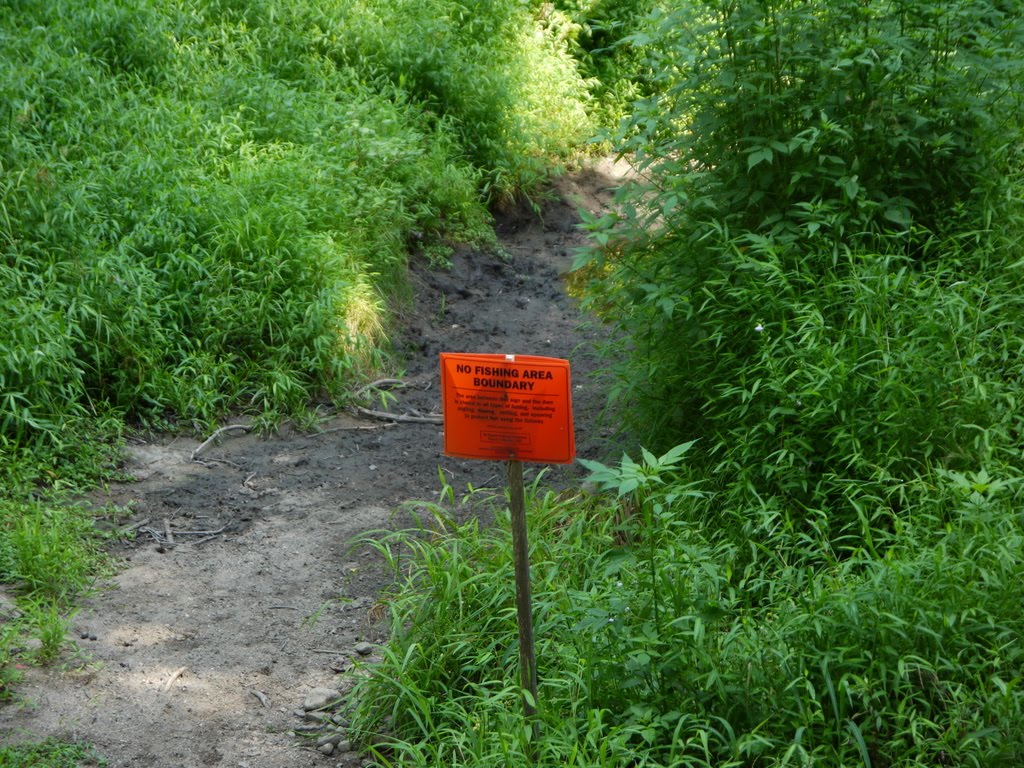 In the Field Trout Brook Valley, Easton