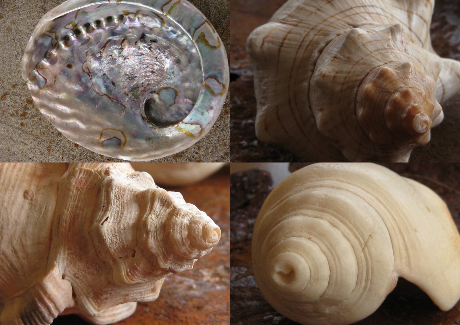 Tanglewood Threads: August 2010