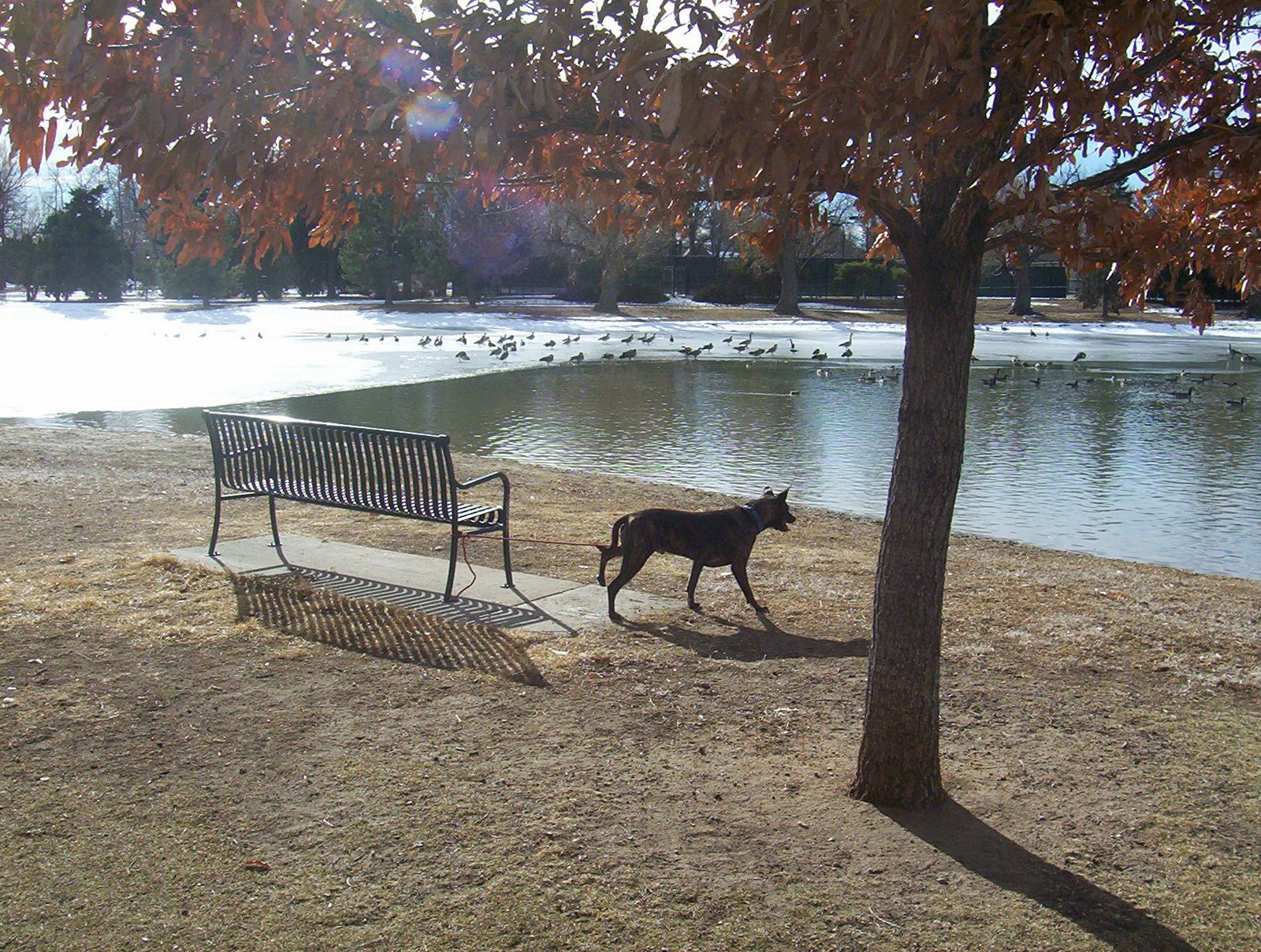 [at+lake.JPG]