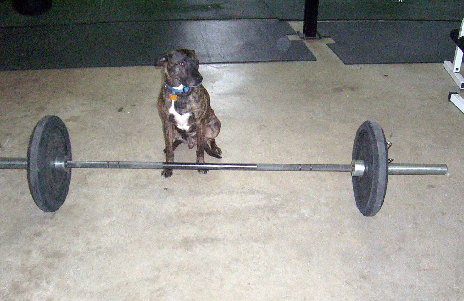 [weights.JPG]