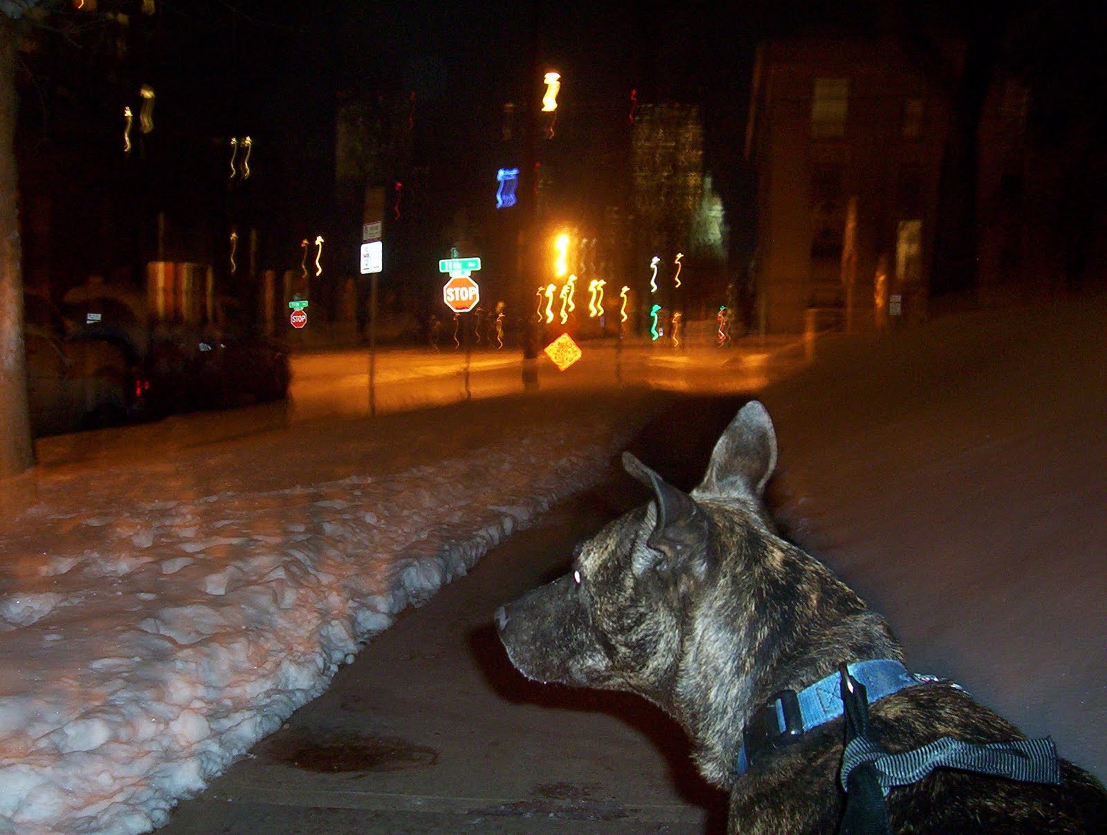 [snowy++night+008.JPG]