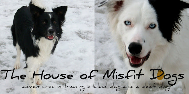 The House of Misfit Dogs