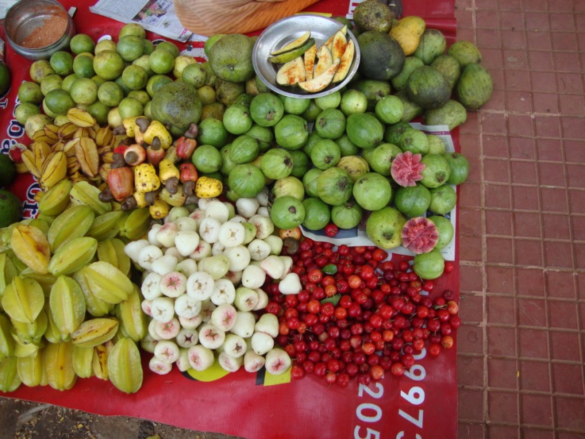 A Journey called Life... A trip to Yelagiri Hills